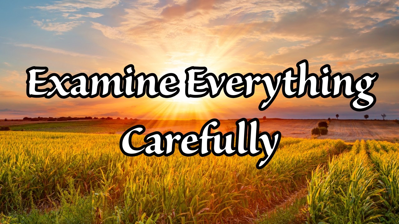 A reminder to stay discerning and rooted in truth!