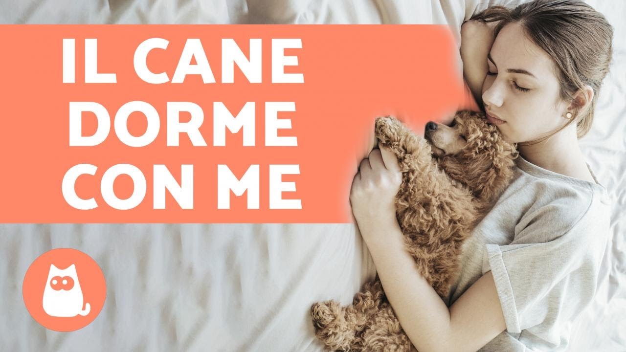 Perché il cane dorme con me? - 6 motivi che ti innamoreranno