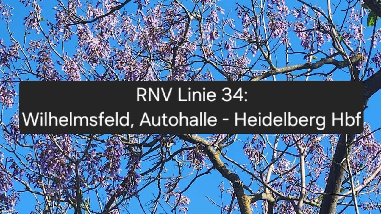 RNV Linie 34: Wilhelmsfeld, Autohalle - Heidelberg Hbf.