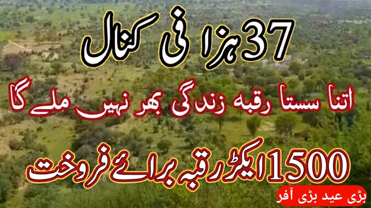 Agricultural land for sale in Punjab, Pakistan || Land for sale in Punjab, Pakistan