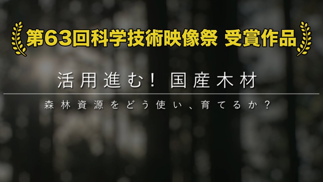 活用進む!国産木材　森林資源をどう使い、育てるか？ | ガリレオX第225回