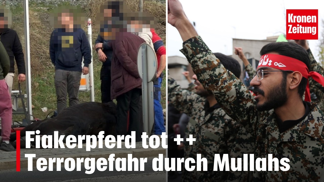 Fiakerpferd tot ++ Terrorgefahr durch Mullahs | krone.tv NEWS