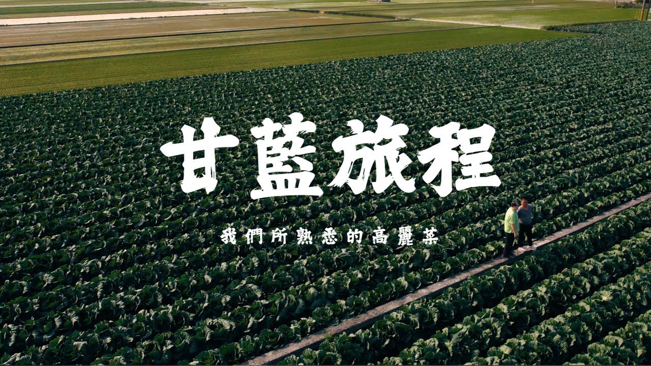【甘藍旅程】我們所熟悉的高麗菜