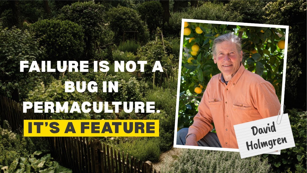 Food Forest Podcast: David Holmgren – Walking the First Path