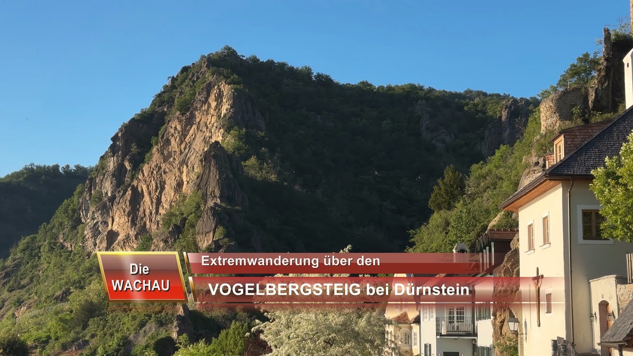 DIE WACHAU - Extremwanderung über den Vogelbergsteig  - 4K -