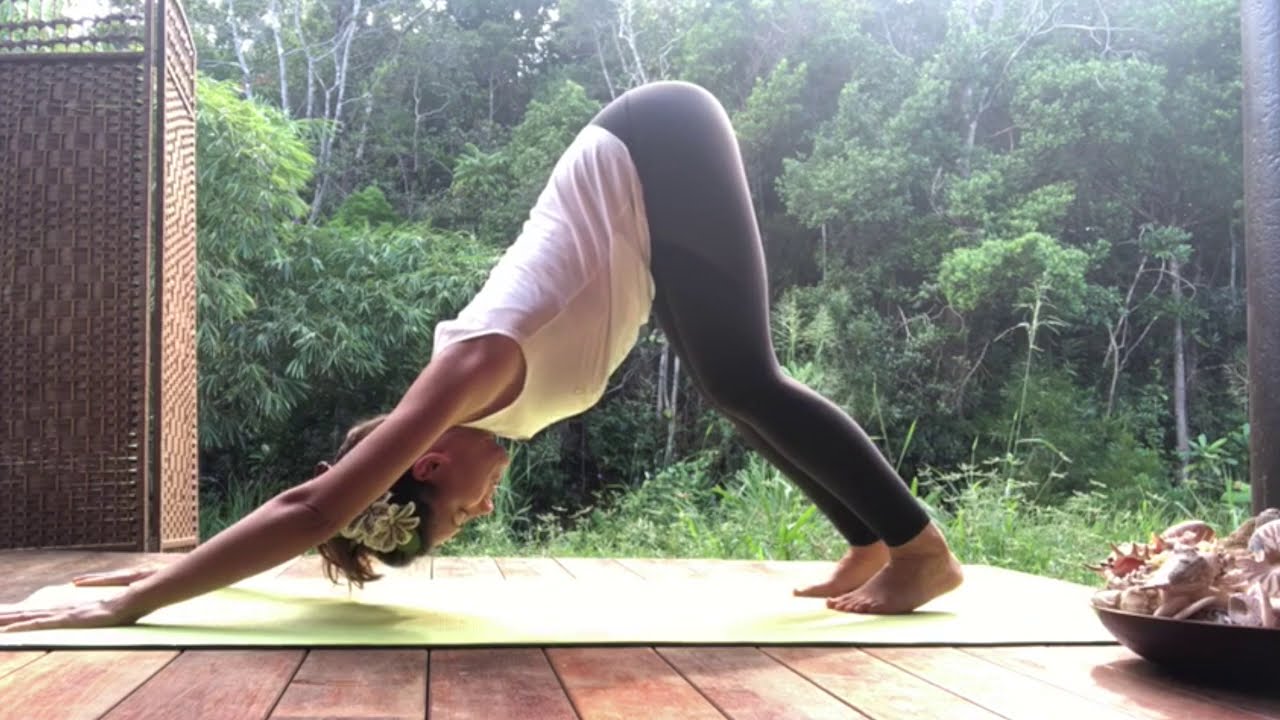 Capsule de Gasquet - yoga chien tête en bas