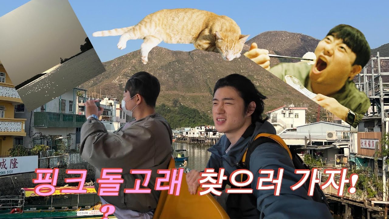 홍콩에서 1% 확률! 핑크 돌고래를 찾아서_4일차_타이오마을, 핑크돌고래, 홍콩 근교 여행, 차찬텡, 딤섬