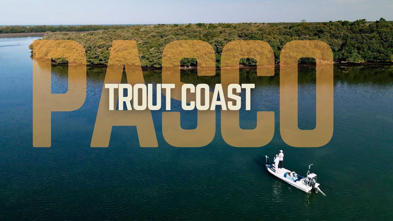 NONSTOP SPOTTED TROUT on the SPORTS COAST