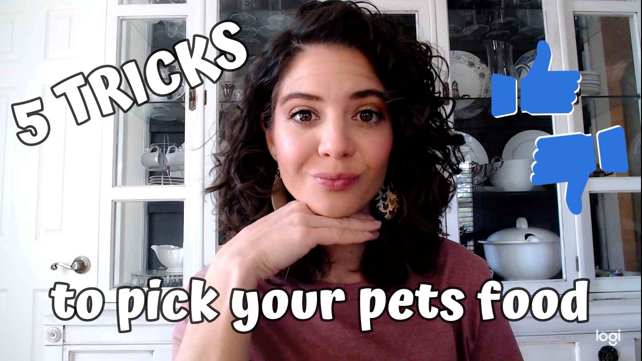 5 Tips for picking the best pet food