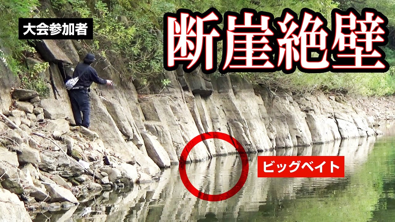 【バス釣り大会】減水してできた断崖絶壁にビッグベイトを投げ入れたら・・・