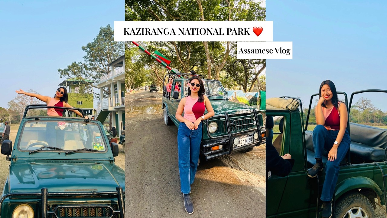 KAZIRANGA NATIONAL PARK ❤️// ASSAMESE VLOG//FIELD TRIP FROM UNIVERSITY ❤️