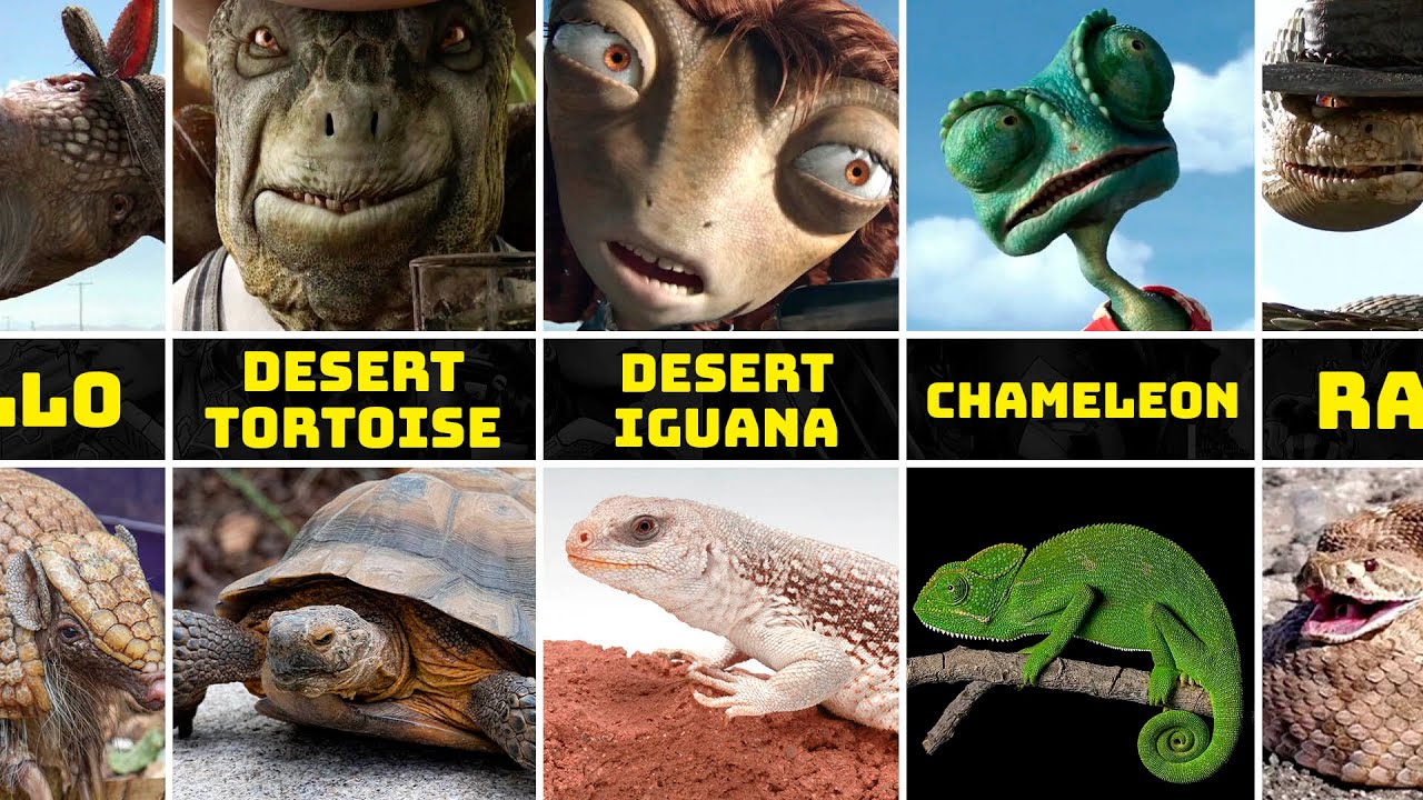 Rango Characters in Real Life