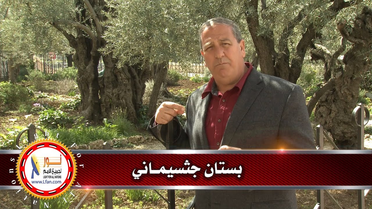 بستان جثسيماني