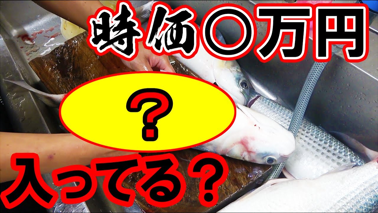 雌だったら○万円！身も食べてみたら・・・！