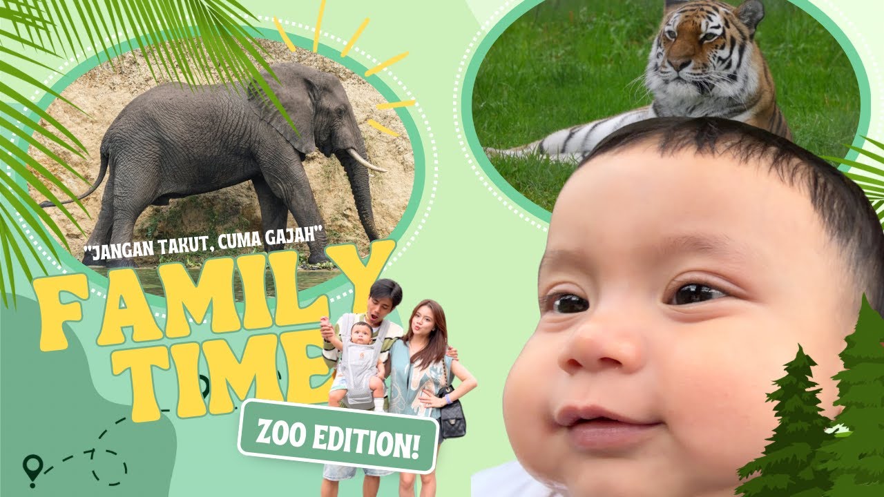 Family Vlog Kebun Binatang | Elzhard Happy Seharian ketemu hewan-hewan gemes🙈🦁🐰🦚