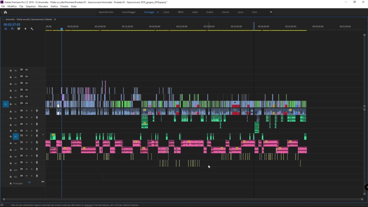 #17b - come usare i metadati in Adobe Premiere Pro