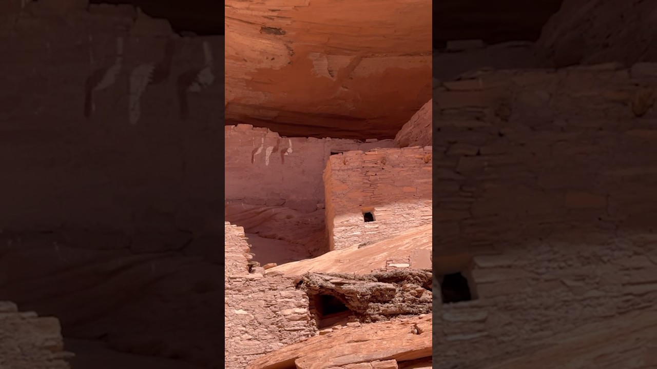 The history of Three Turkey Ruins w/Alvin Yellowhorse #navajo #canyondechelly #ruins