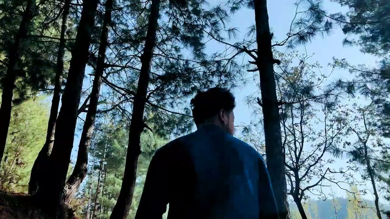 kashmiri song cover by Jaii bee
