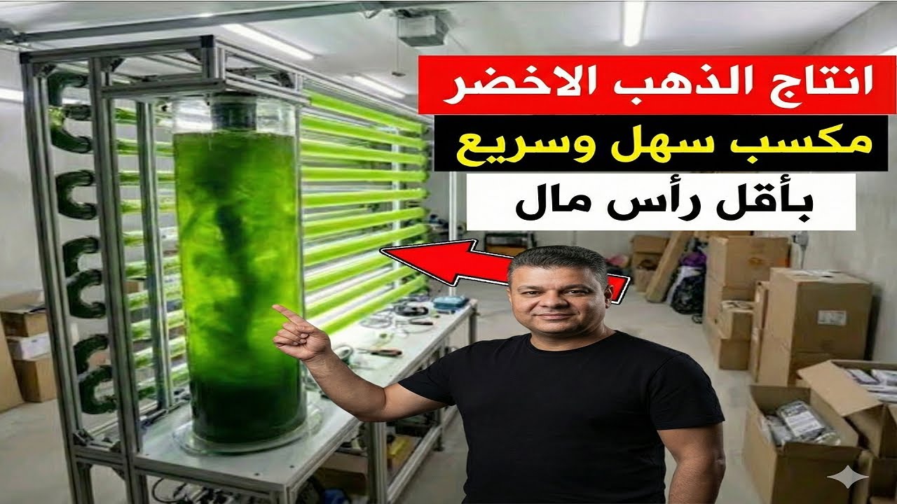 مشروع محدش قالك عليه انتاج الذهب الاخضر براس مال بسيط وارباح سهله وسريعه