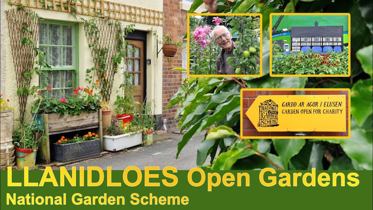 Llanidloes Open Gardens | National Garden Scheme | 2024