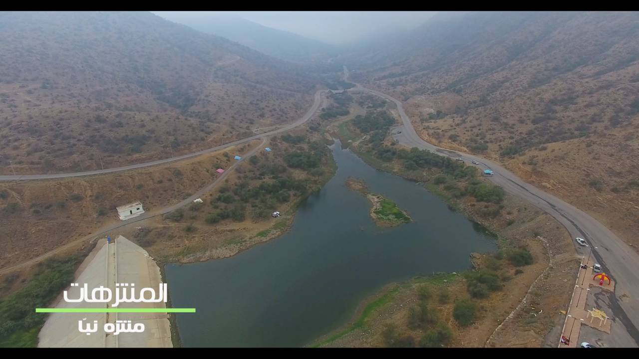 البشائر في سطور | 4K |