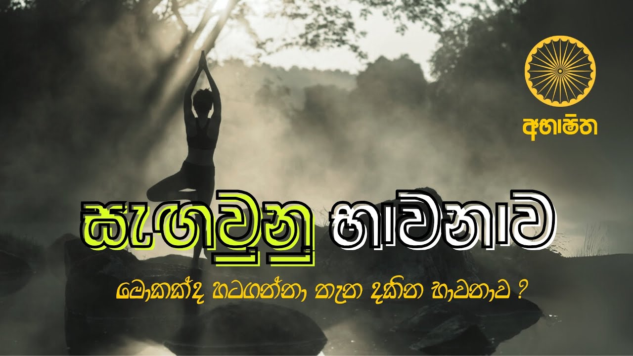 මොකක්ද හටගන්නා තැන දකින භාවනාව #නිවන්_මග_සිහියෙන් #2023