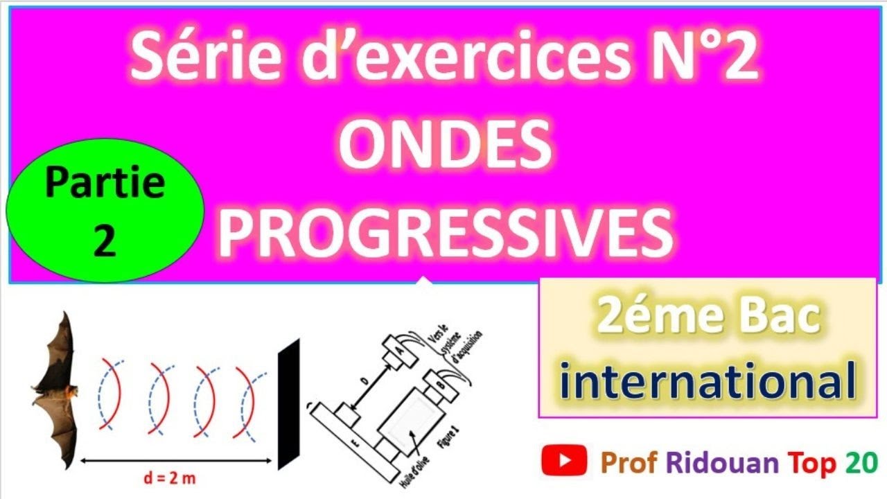 serie d'exercices N°2 ondes progressives chauve_sourie