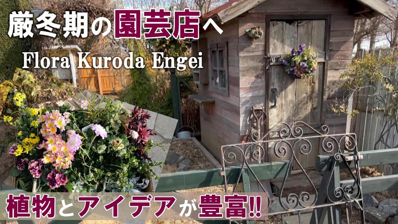 【厳冬期の黒田園芸さん】クチコミ以上に楽し過ぎた*植え込みと鉢植えコーナーの着手/リサイクルガーデニング