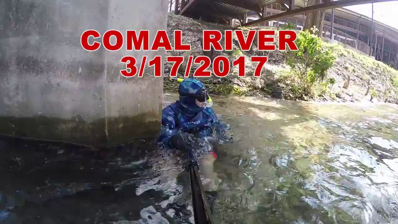 Dolphin Speed from Landa Falls!!!