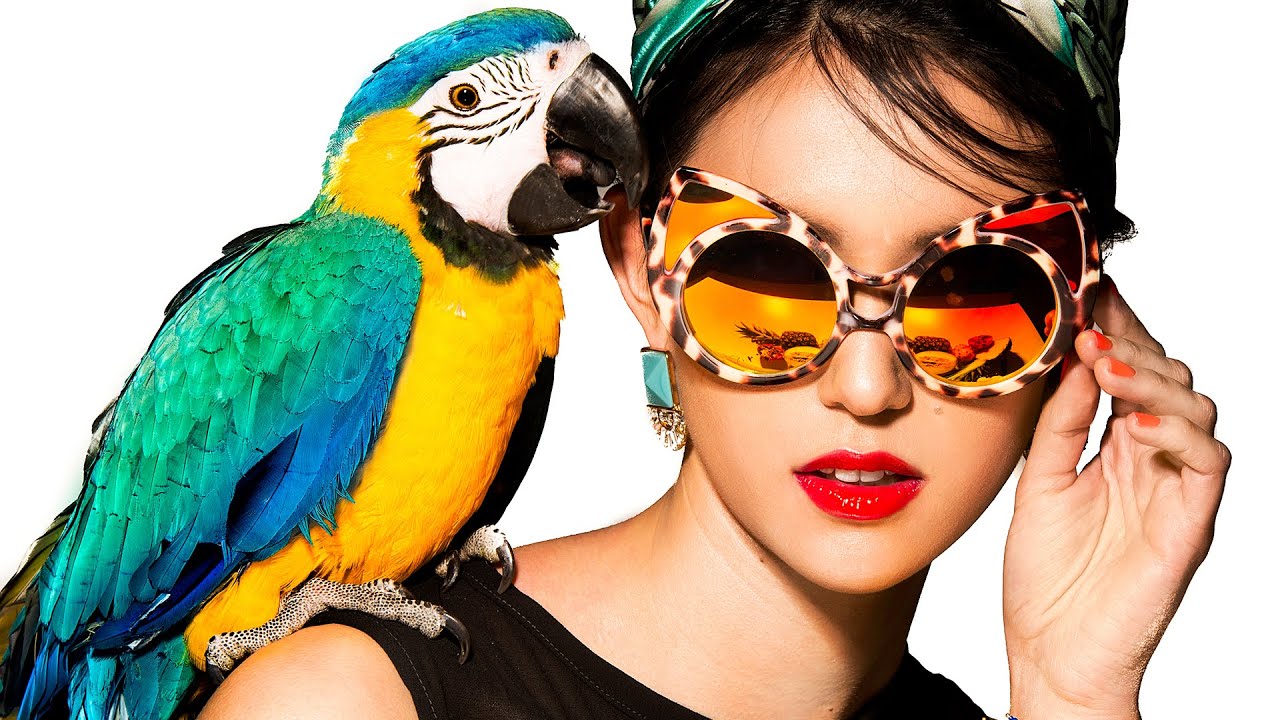 Tropical Fashion Editorial Photoshoot - Behind the scenes