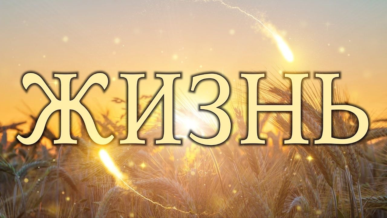 Жизнь (Бог не ждёт, когда ты станешь идеальным).