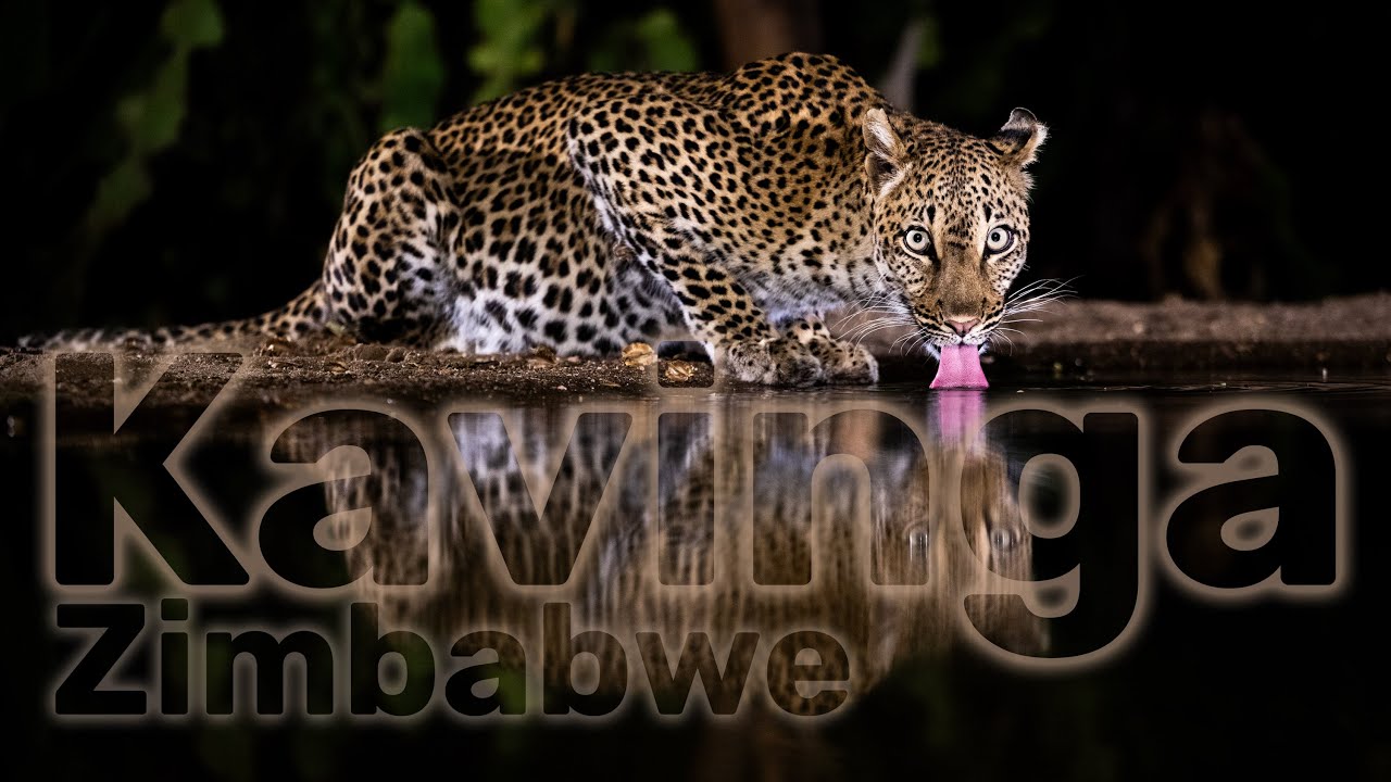 Through my Lens at Kavinga - Zimbabwe