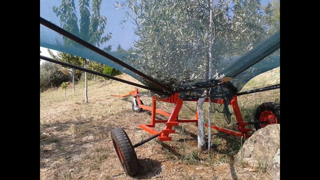 HARVESTER FOR OLIVES, PLUMS , WALNUTS , CHERRIES , ALMONDS.