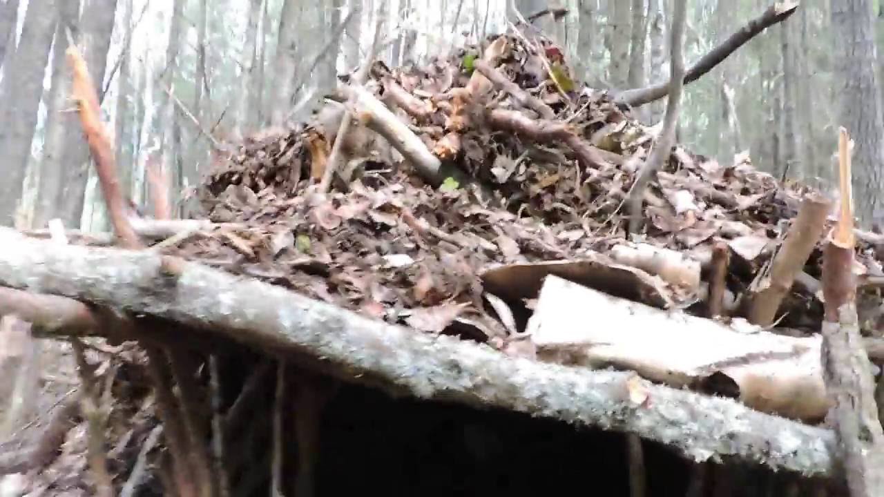 Building a Debris Hut Shelter (Boreal forest)