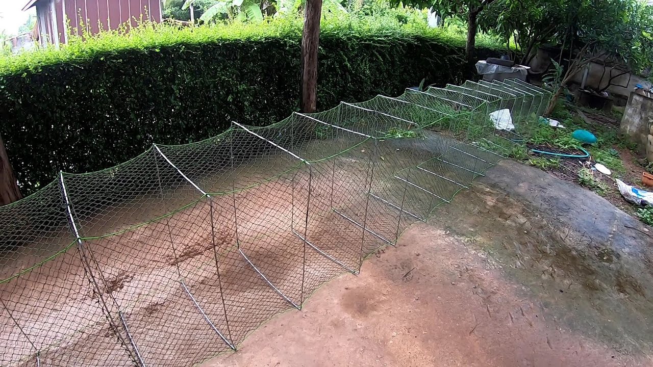 วิธีเข้างาอีหลง และห้องขังปลา แบบที่ปลาเข้าดีสุดๆ