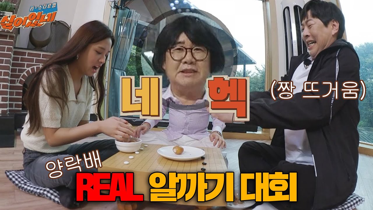 최양락(Choi Yang-Rak)배 REAL 알까기 대회⚡️ 뜨거운 승부의 결과는?!(네헥↗) 〈리스타트업, 살아있네(restartuplive)〉 | JTBC 201005 방송