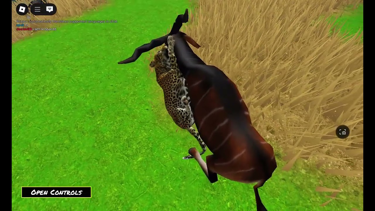 Leopard hunts | Mosaic Survival Roblox