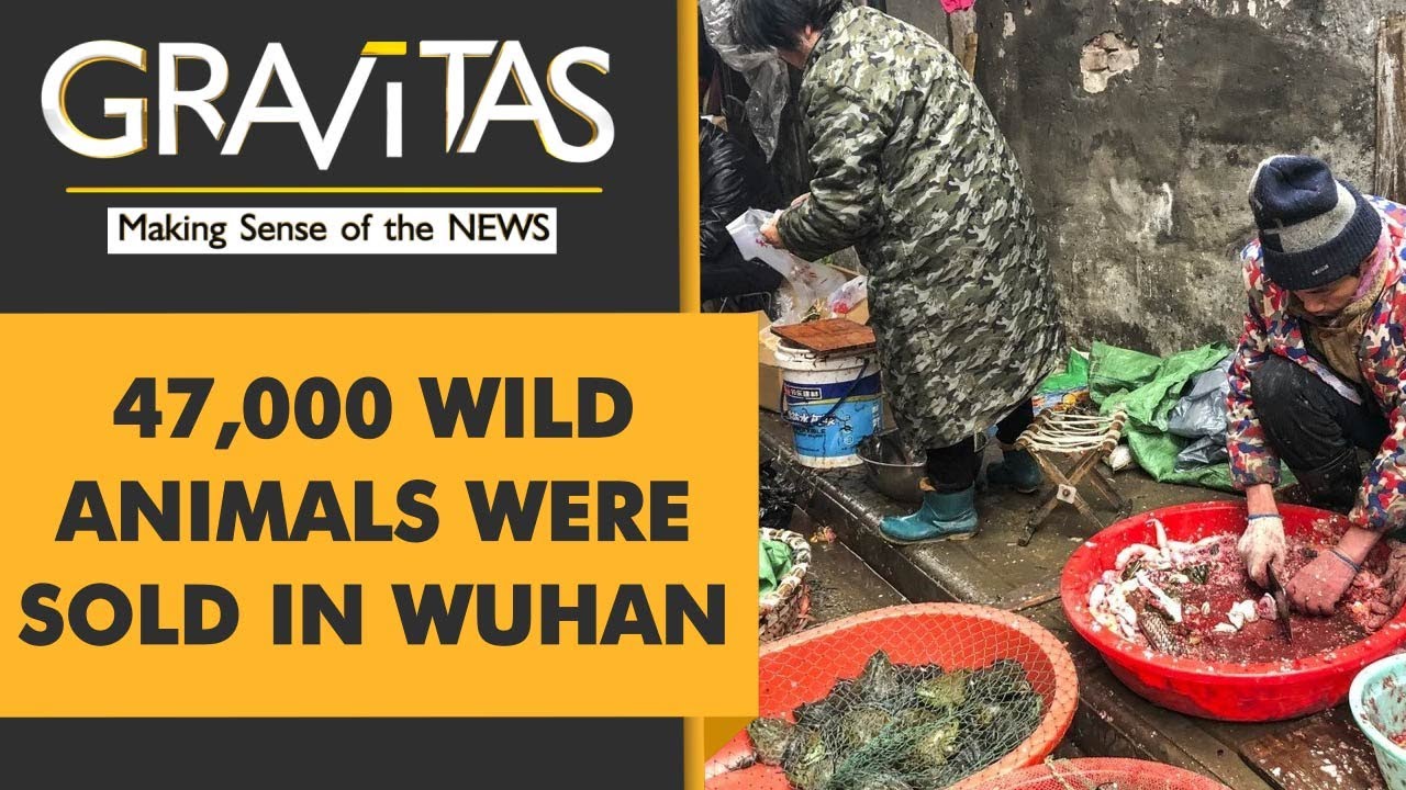 Gravitas | Wuhan Virus: Probing the Wet Market Angle