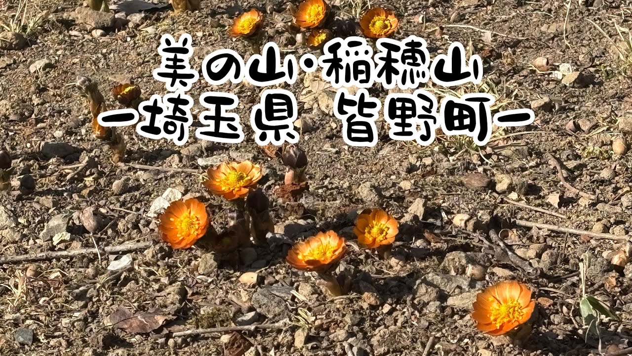 美の山・稲穂山〜埼玉県 皆野町〜