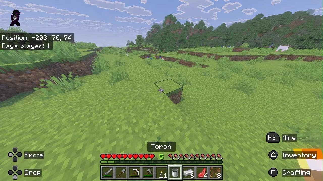 My forever world in Minecraft