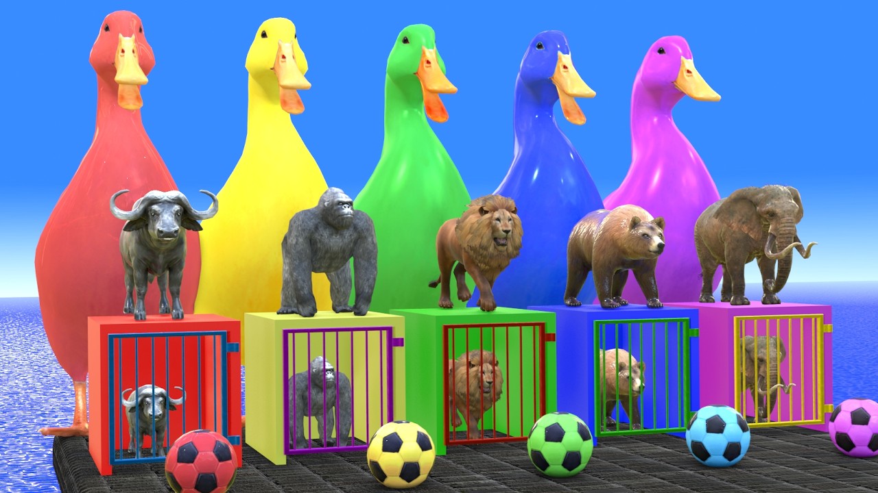Long Slide Game With Elephant Gorilla Buffalo Hippopotamus Tiger - 3d Animal Game - Funny 3d Animals
