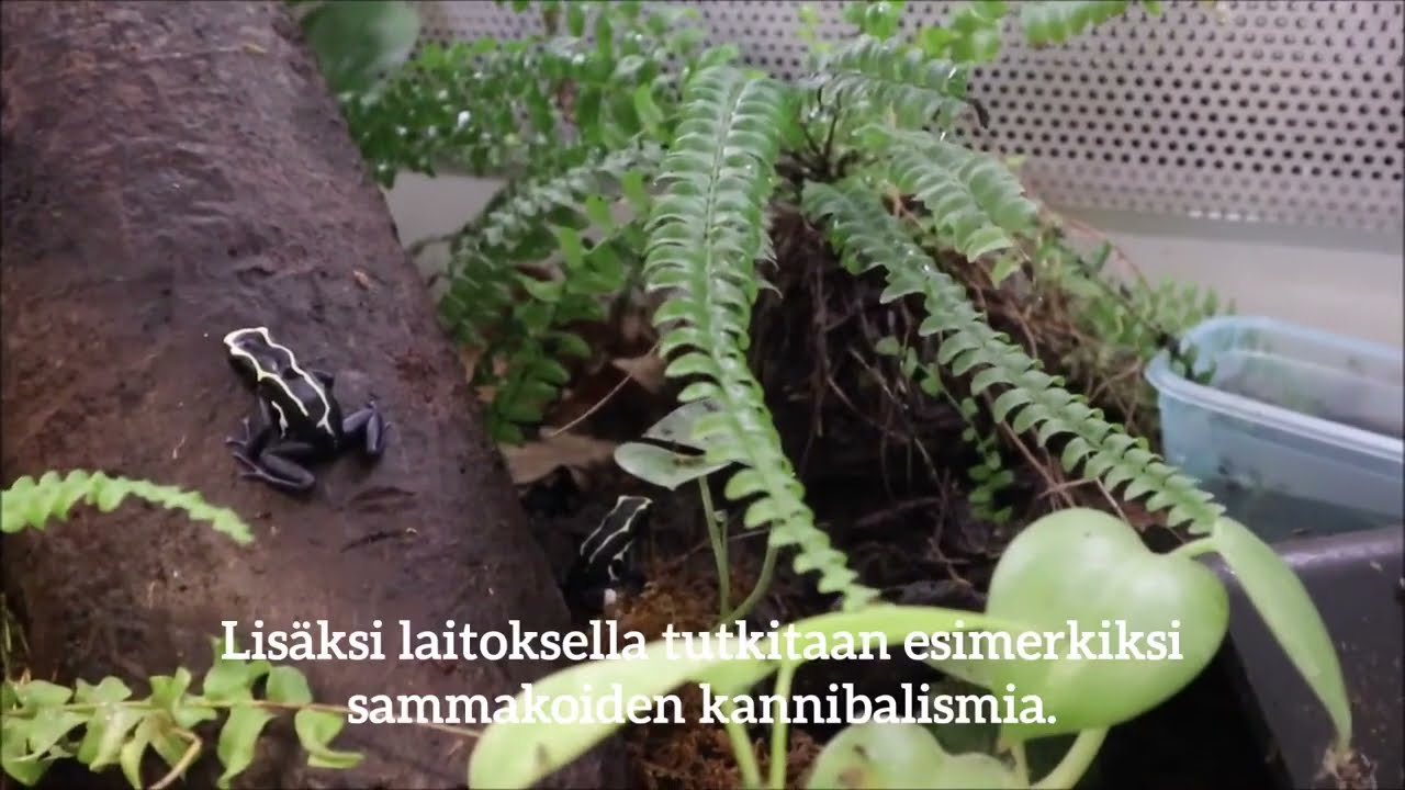 Tervetuloa tutustumaan bio- ja ympäristötieteiden laitokselle