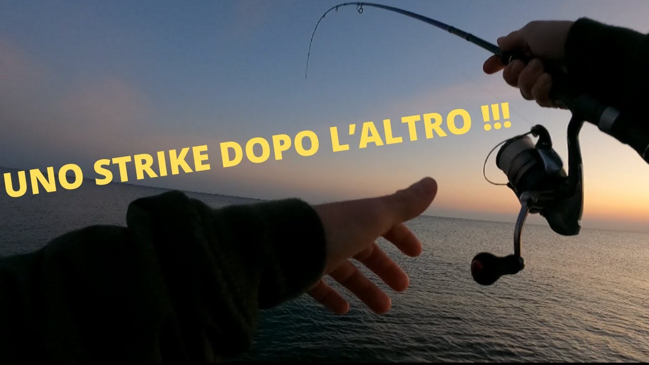 EGING: seppie, polpi e calamari, è USCITO DI TUTTO !!!