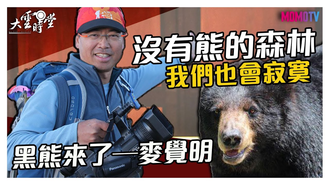 【完整版】熊熊危機！族人：沒有熊的森林，人也會寂寞...20191216【麥覺明、黃修德、朱有田】