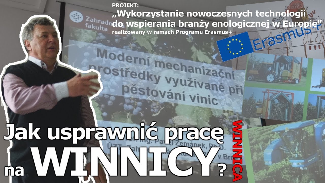 Praca na WINNICY Jak ją usprawnić?  Wszystko o Winie
