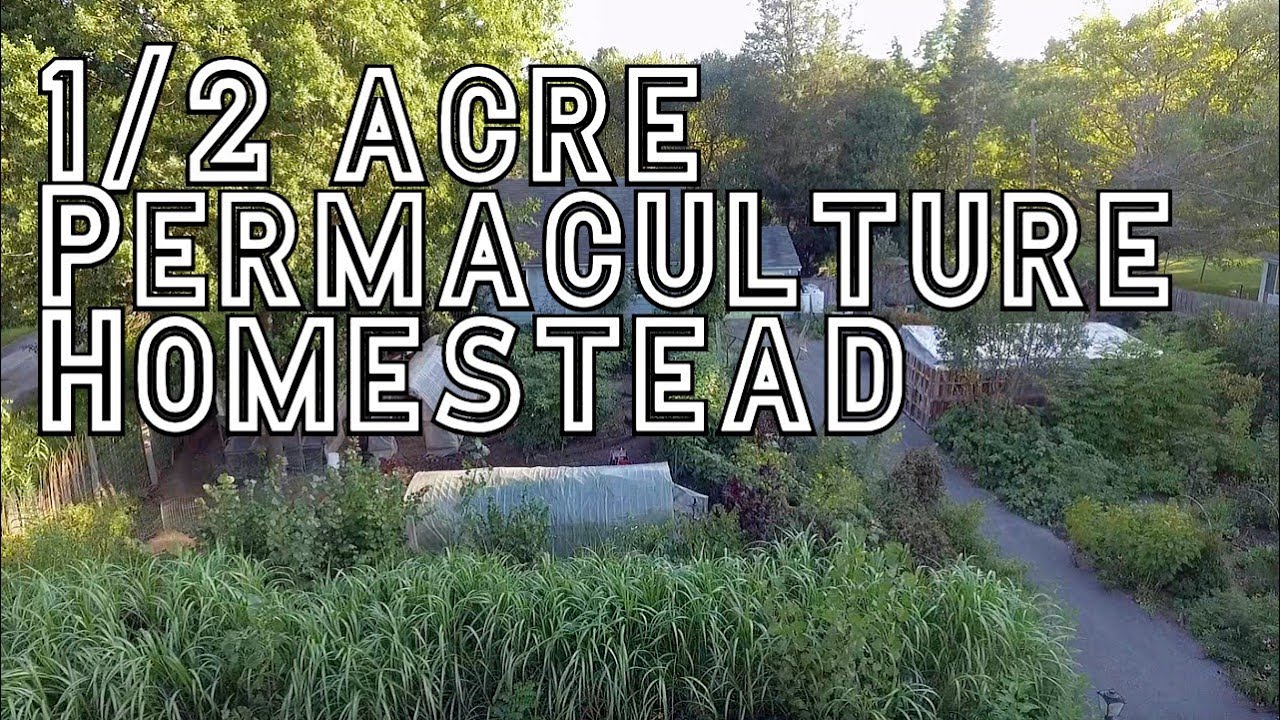 1/2 Acre Permaculture Homestead - View From Above