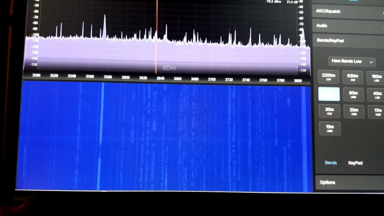EFHW - CP6 - Mini Whip auf 80m