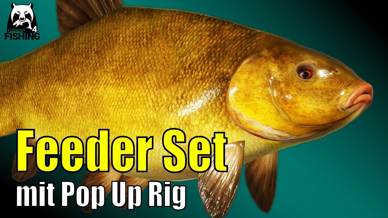 Russian Fishing 4 - Alte Festung - Schleien Spot! Mit Feeder Setup und Popup Rig #rf4