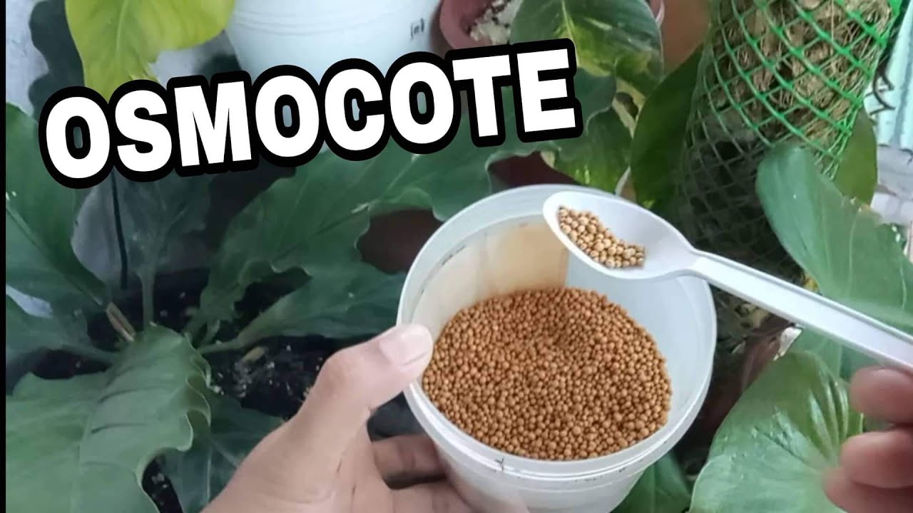 OSMOCOTE 14-14-14 SMART RELEASE PLANT FOOD / ONLINE PURCHASED