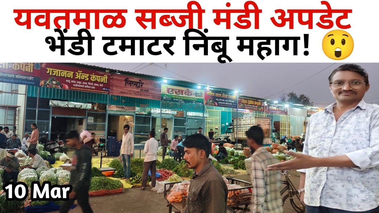 यवतमाळ सब्जी मंडी आज का भाव | भेंडी टमाटर निंबू के रेट बढ़े | मंगलवार बाजार अपडेट 😱